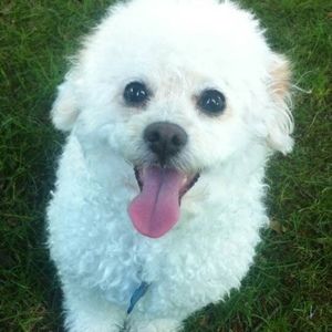 Meet your Posher, Maria a